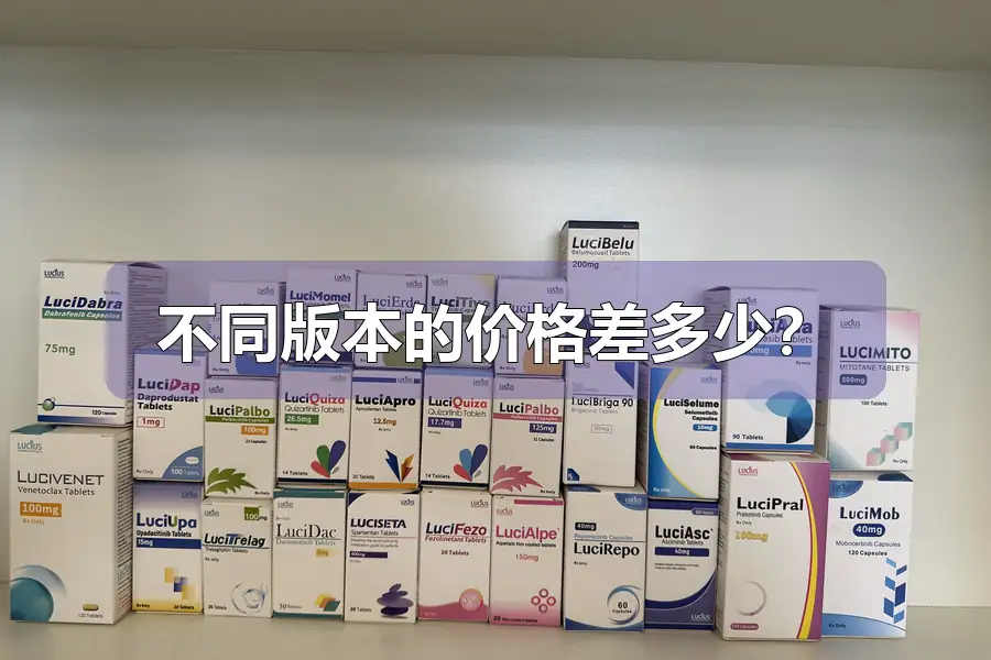 不同版本的价格差多少？